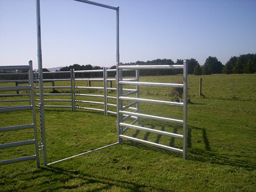 Cattle Yard Fence